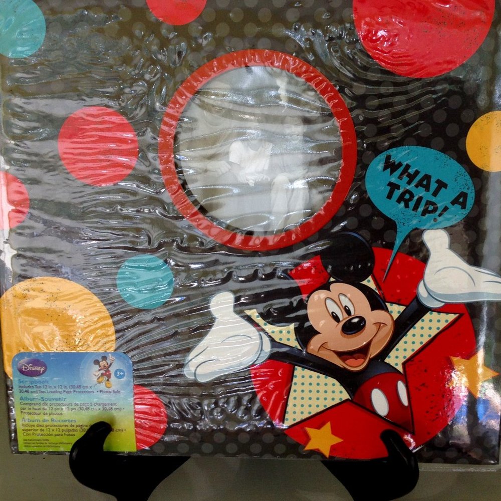 Large Disney Photo Album